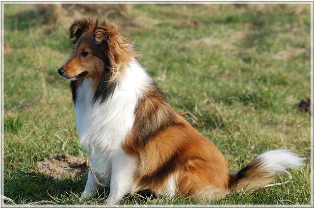 Djalie du calin d'eau